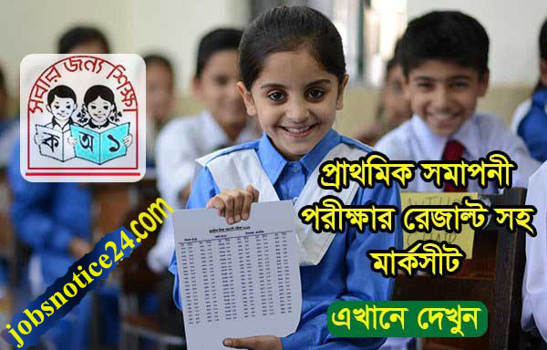 PSC Education Board Result Bangladesh 2020 dpe.gov.bd